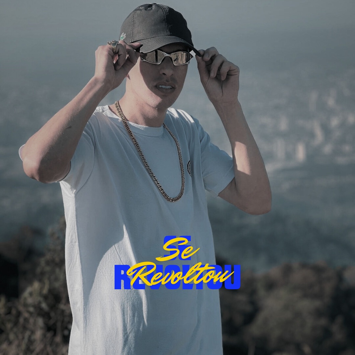 Se Revoltou - Single by mc andi zl & DJ Boka maestro album cover