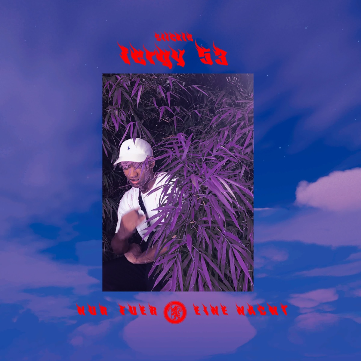 Nur für eine Nacht - Single by Fergy53 album cover