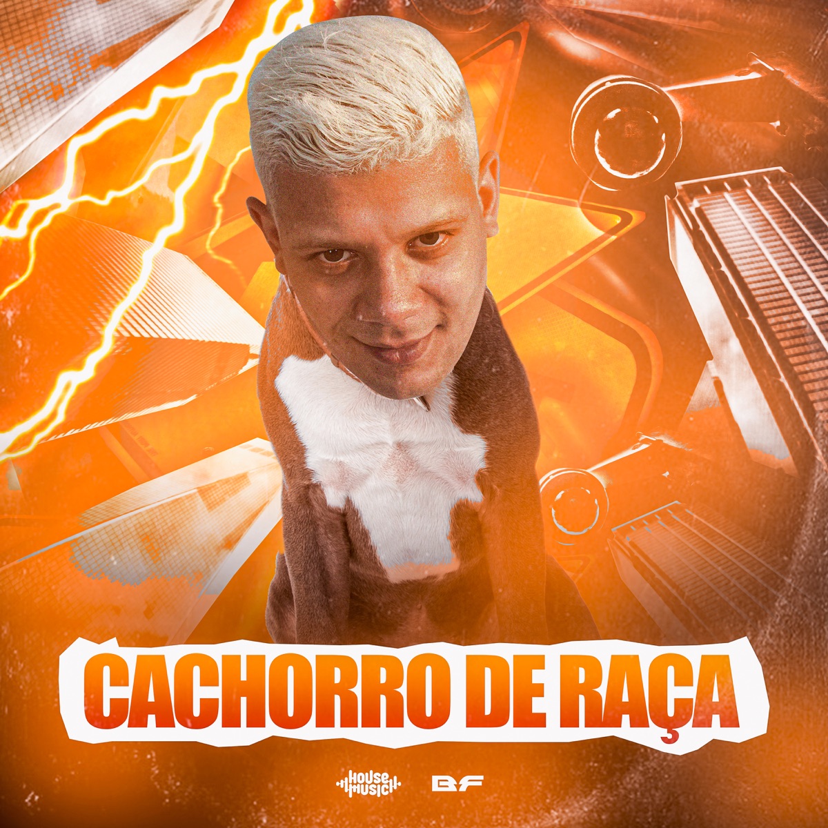 Cachorro de Raça - Single by RodriigoCH & BF album cover