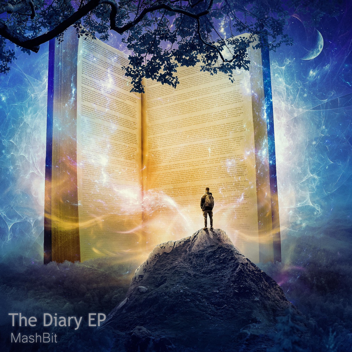 The Diary - EP by MashBit album cover