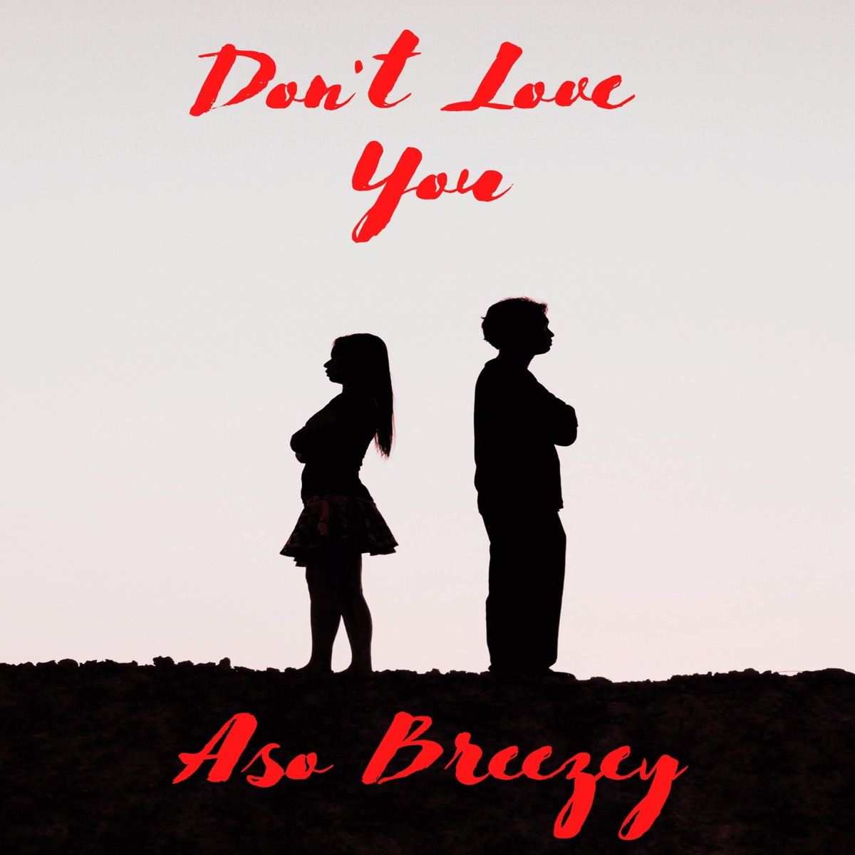 Don't Love You (feat. Lil Trav) - Single by Aso Breezey album cover