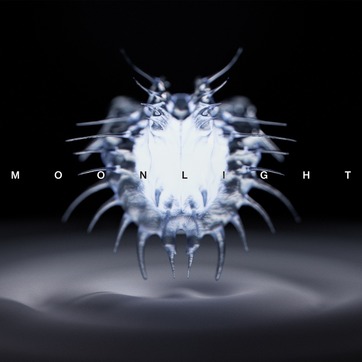 Moonlight (feat. Nuncc) - Single by softboy ivo album cover
