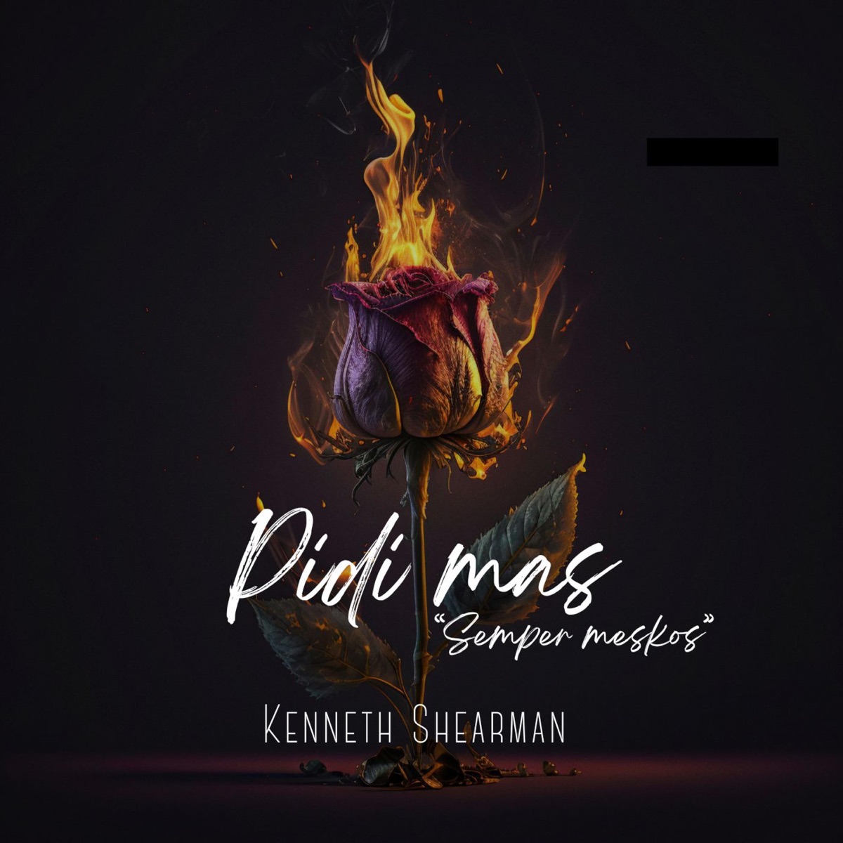 Pidi Mas - Single by Kenneth Shearman album cover