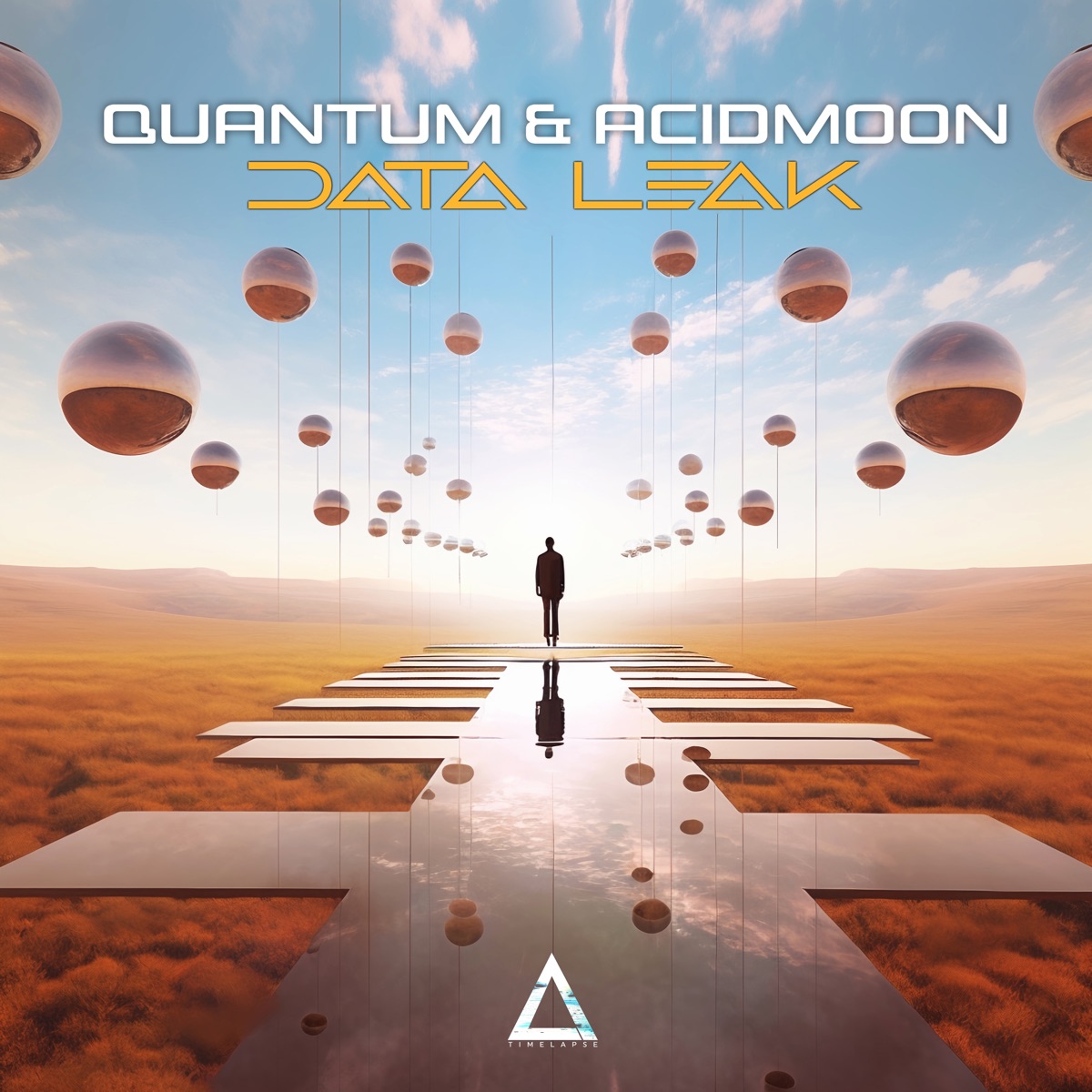 Data Leak - Single by Quantum & Acidmoon album cover