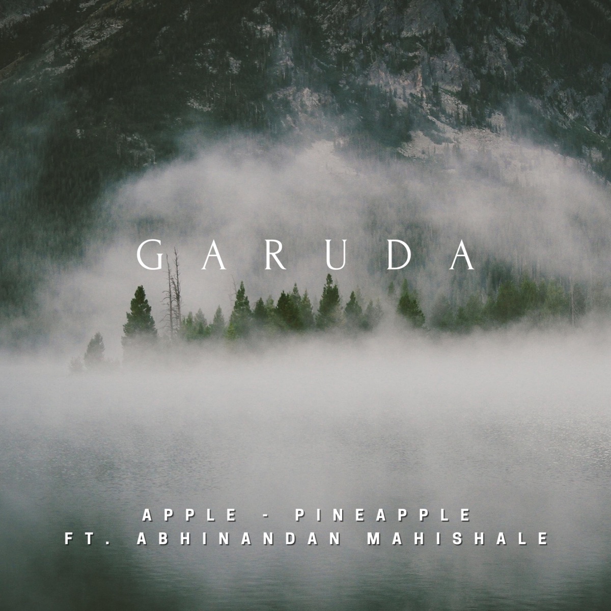 Garuda (feat. Abhinandan mahishale) - Single by Apple-Pineapple album cover