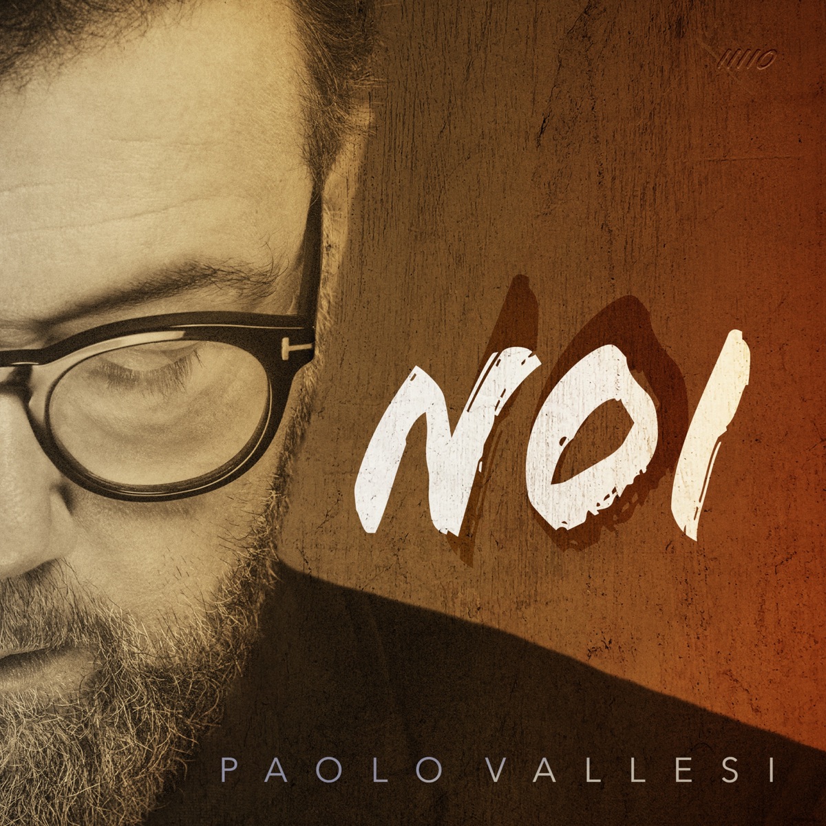 NOI by Paolo Vallesi album cover