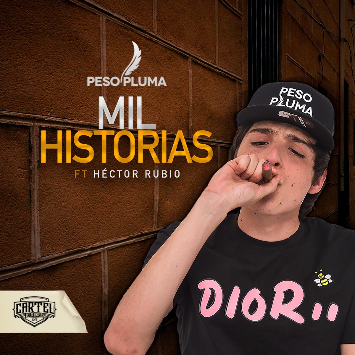 Mil Historias (feat. Hector Rubio) - Single by Peso Pluma album cover artwork