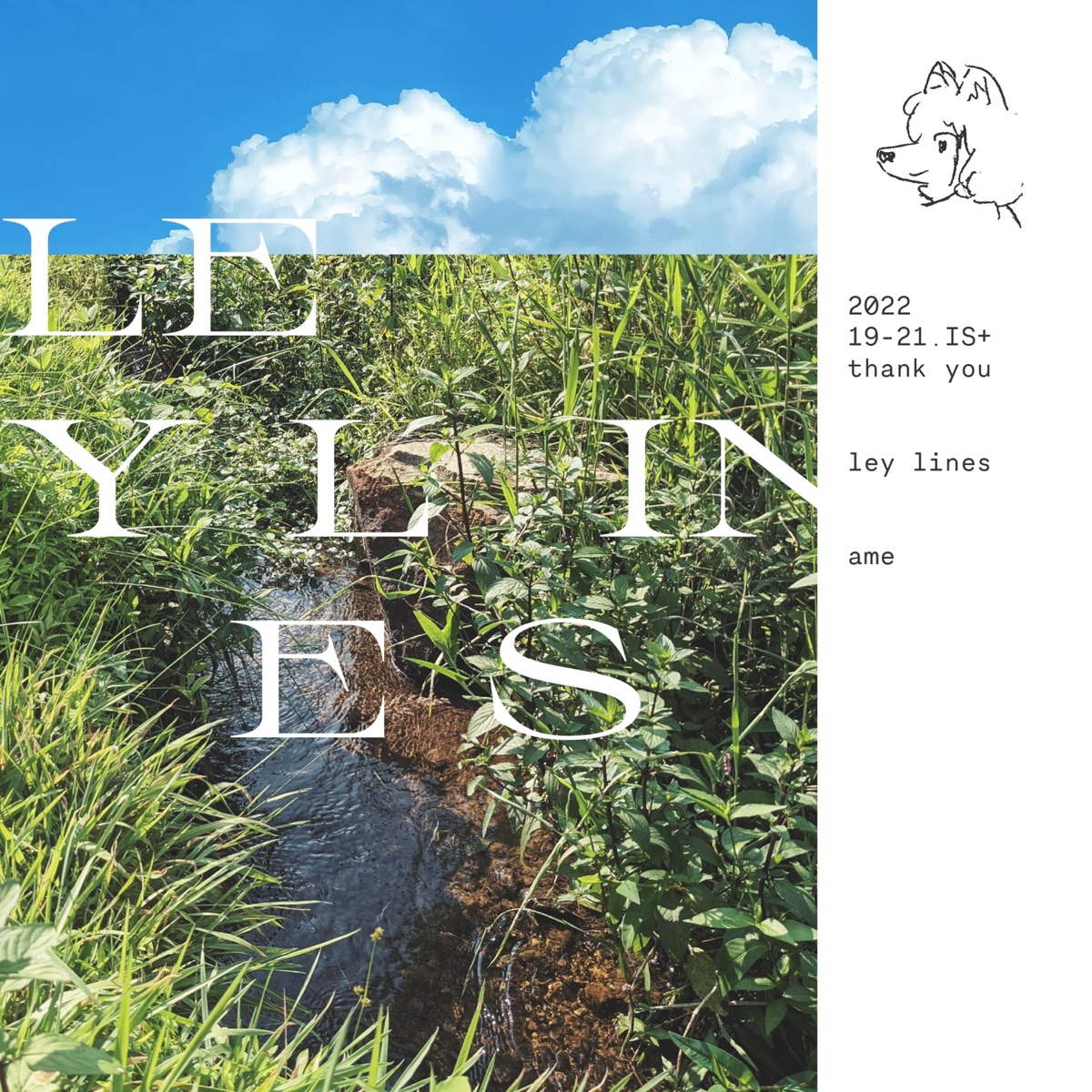 Ley Lines by あめ album cover