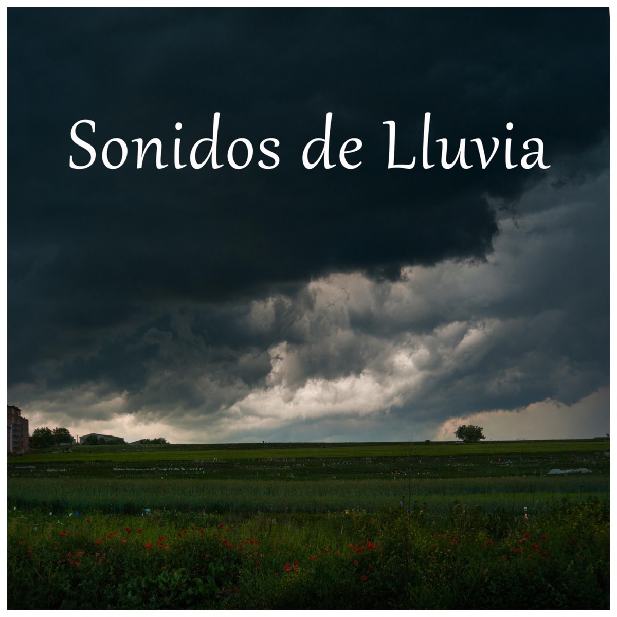 Sonidos de Lluvia by Música Para Dormir bebés & Baby Lullaby Academy album cover
