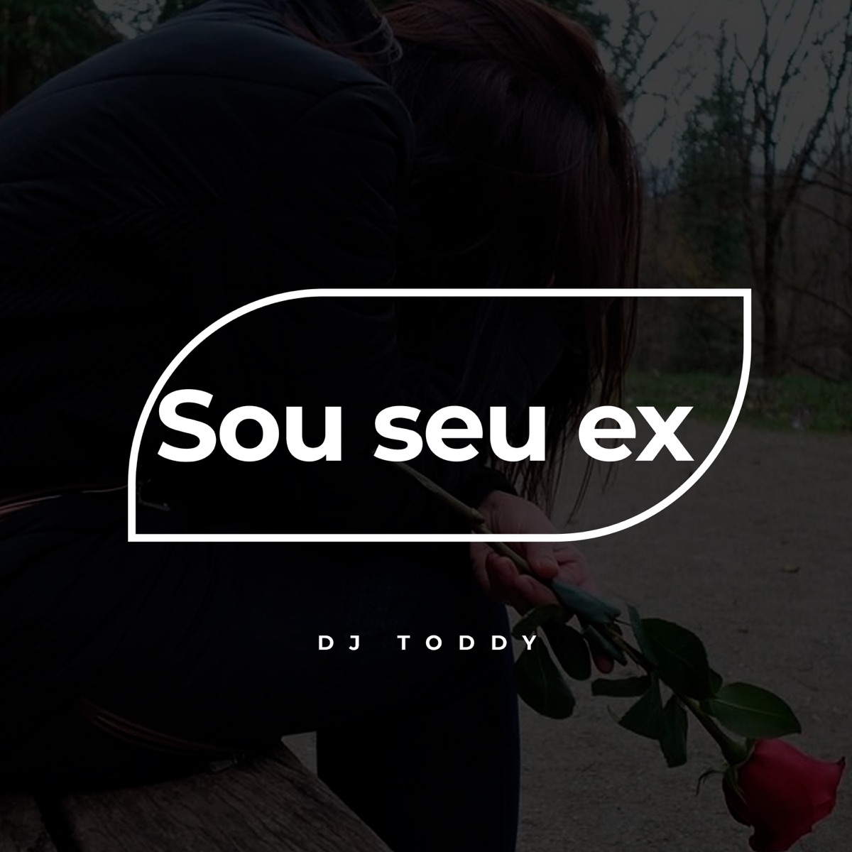 Sou Seu Ex - Single by deejay toddy album cover