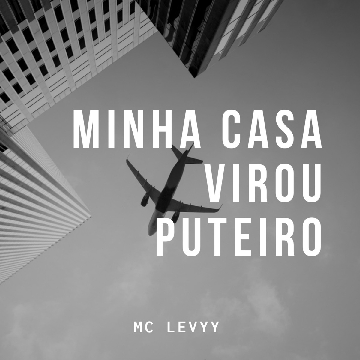 Minha Casa Virou Puteiro (feat. DJ Talala) - Single by Dj Pena & Mc levyy album cover