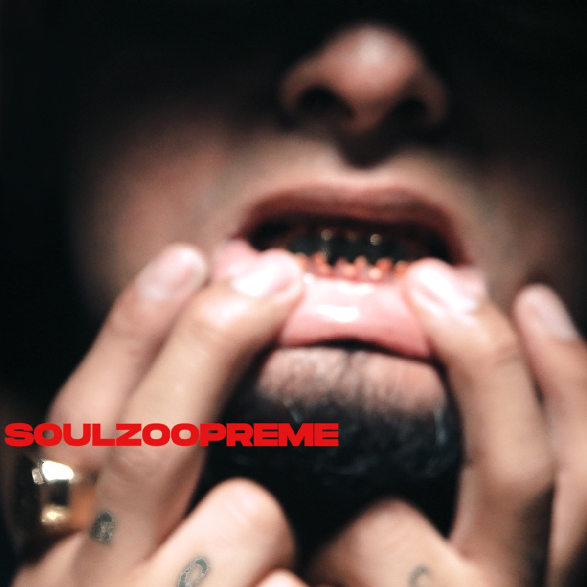 Root Boy - Single by Jalik Soulzoopreme album cover