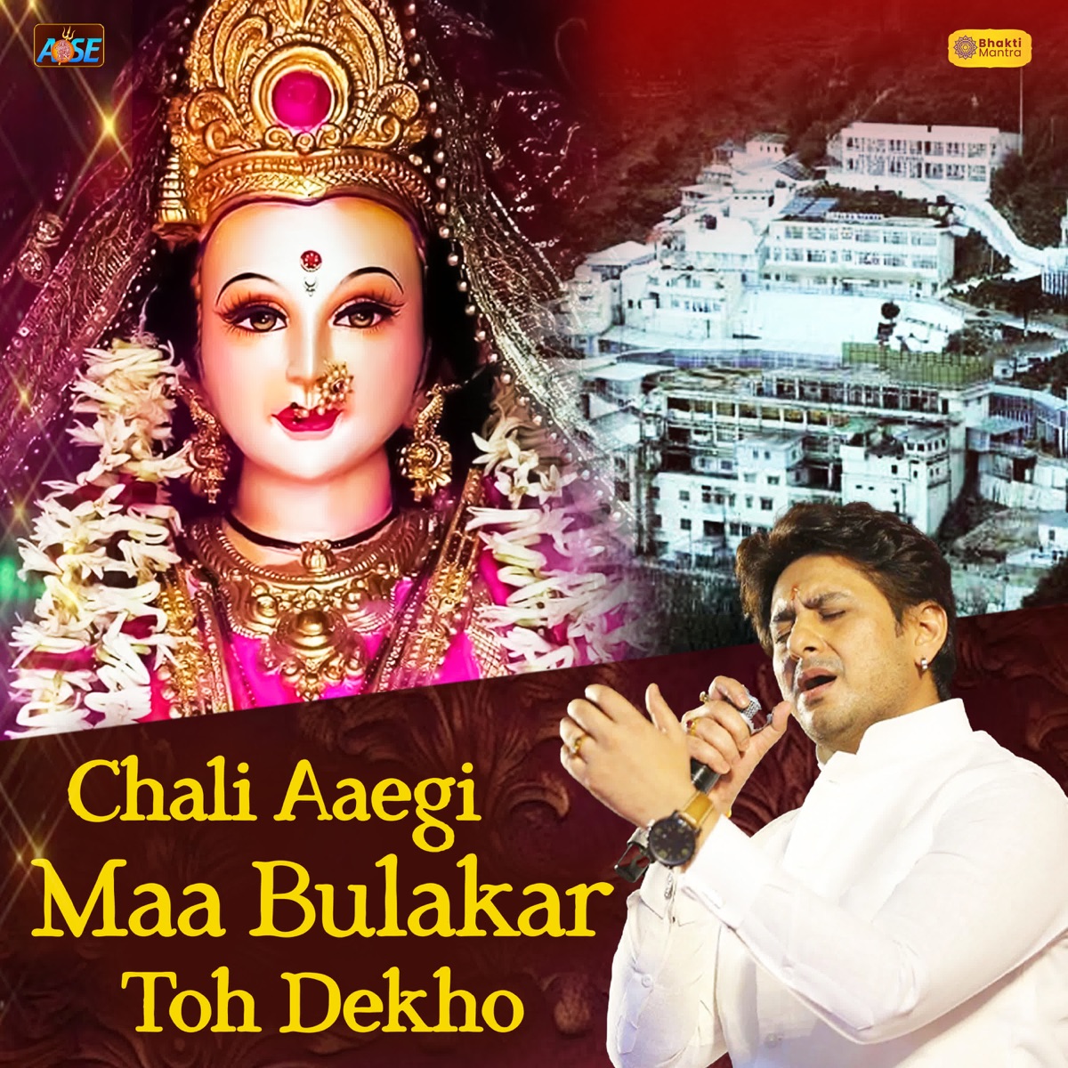 Chali Aaegi Maa Bulakar Toh Dekho - Single by Panna Gill album cover