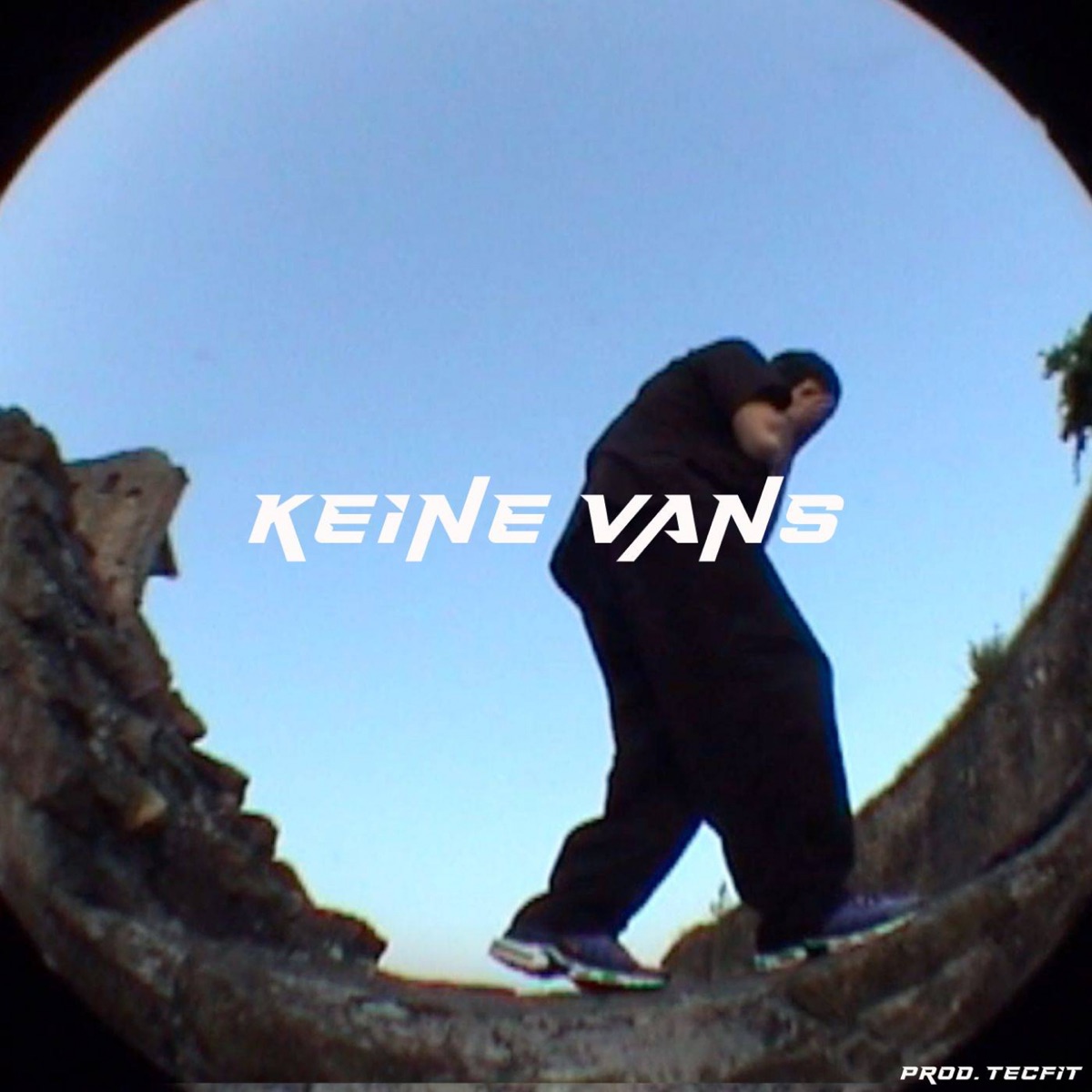 Keine Vans - Single by Tecfit album cover