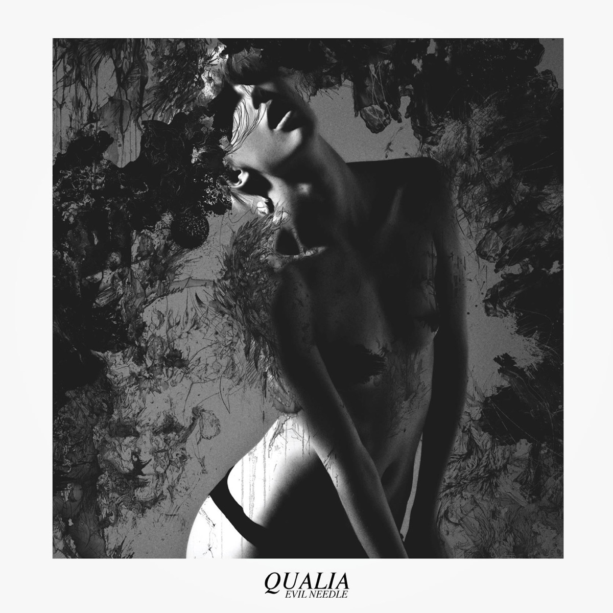 Qualia by Evil Needle album cover