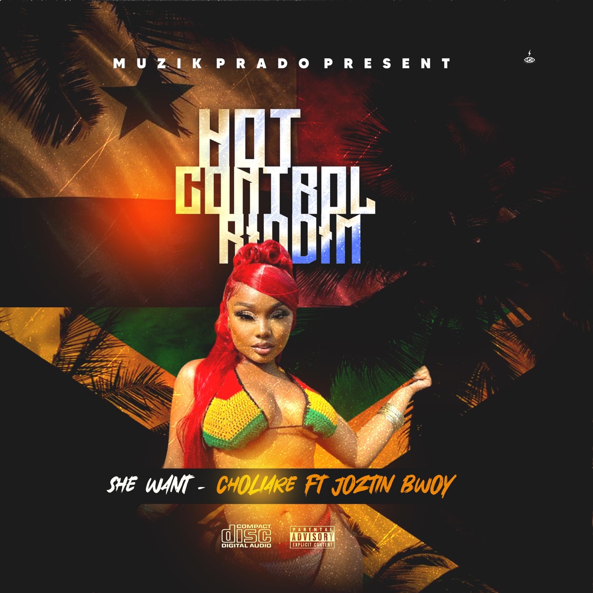 She Want (feat. Choliare & Joztin Bwoy) - Single by MuzikPrado album cover