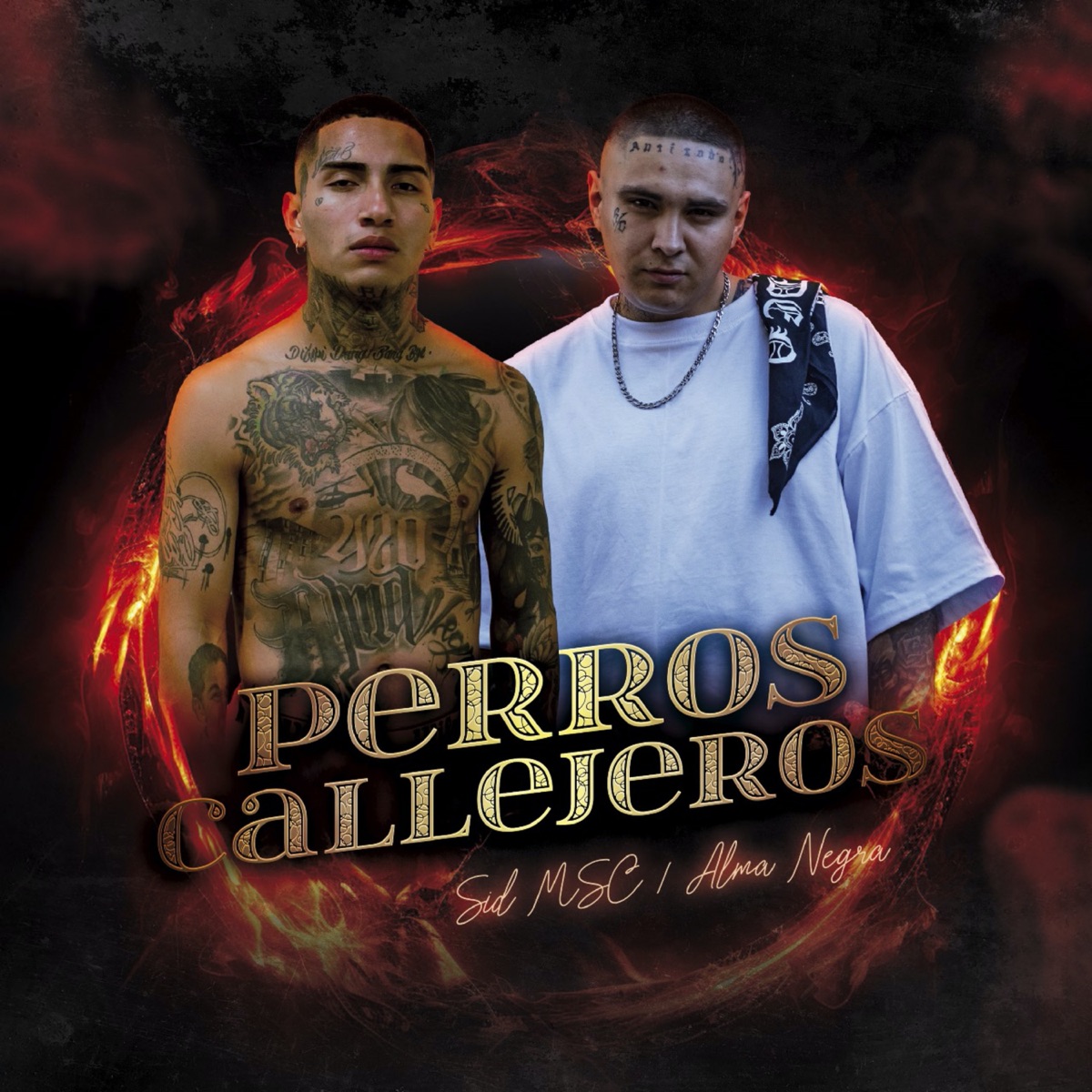 Perros Callejeros - Single by Sid MSC & Almanegra album cover