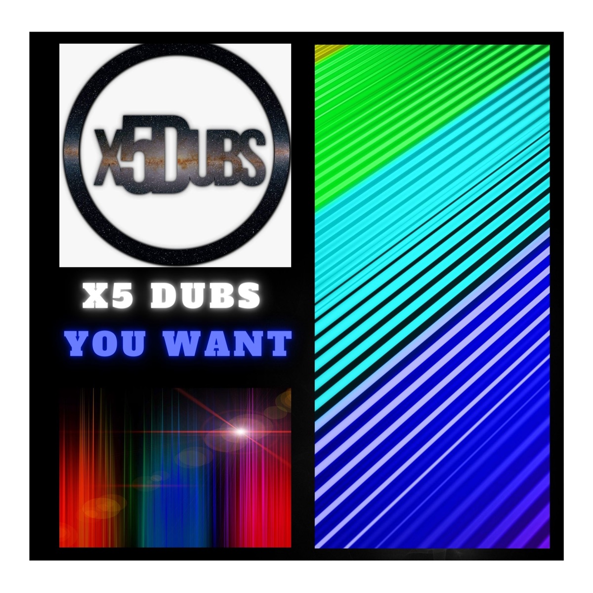 You Want - Single by X5 Dubs album cover