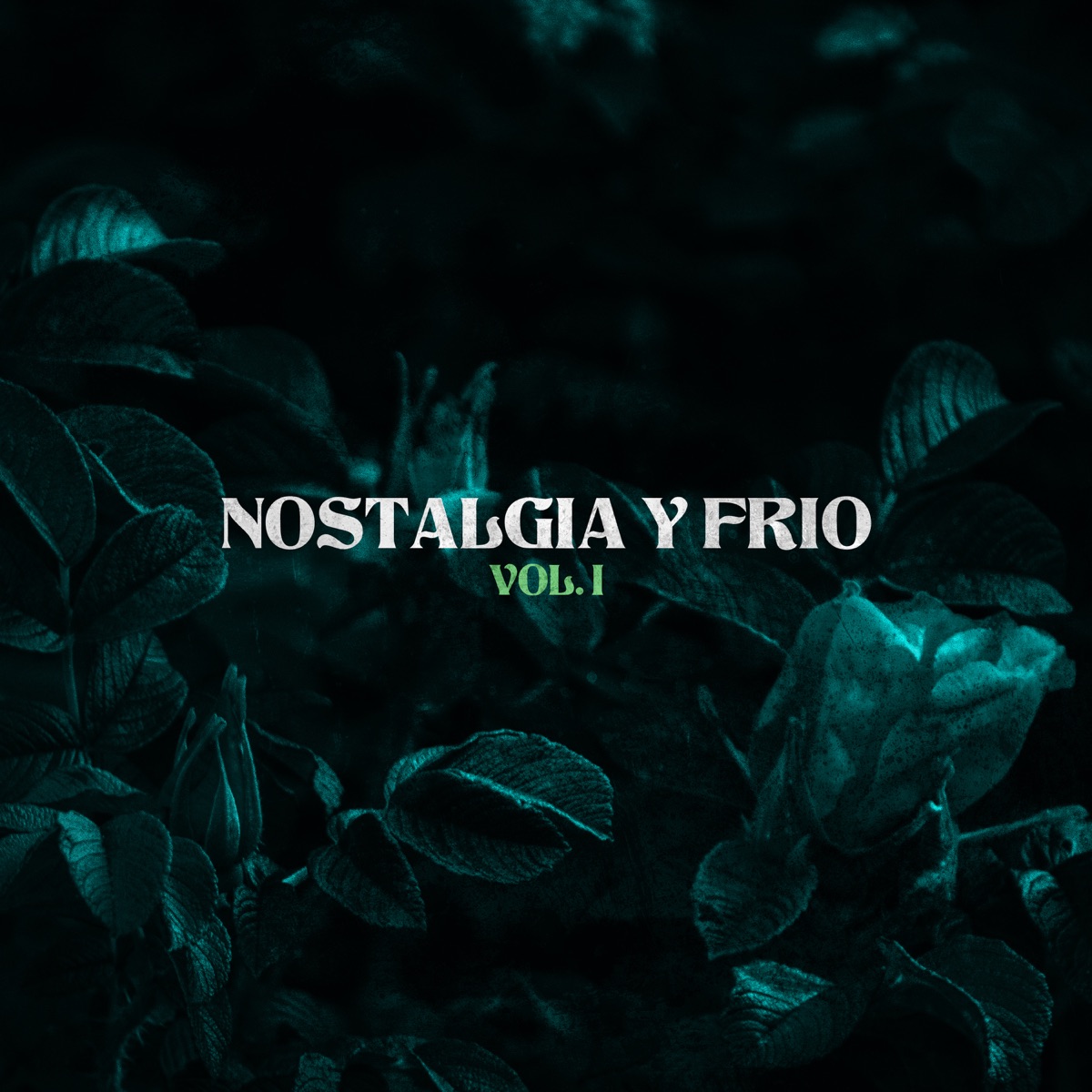 Nostalgia y Frío I - Single by Jaro Cristo & Sin H album cover