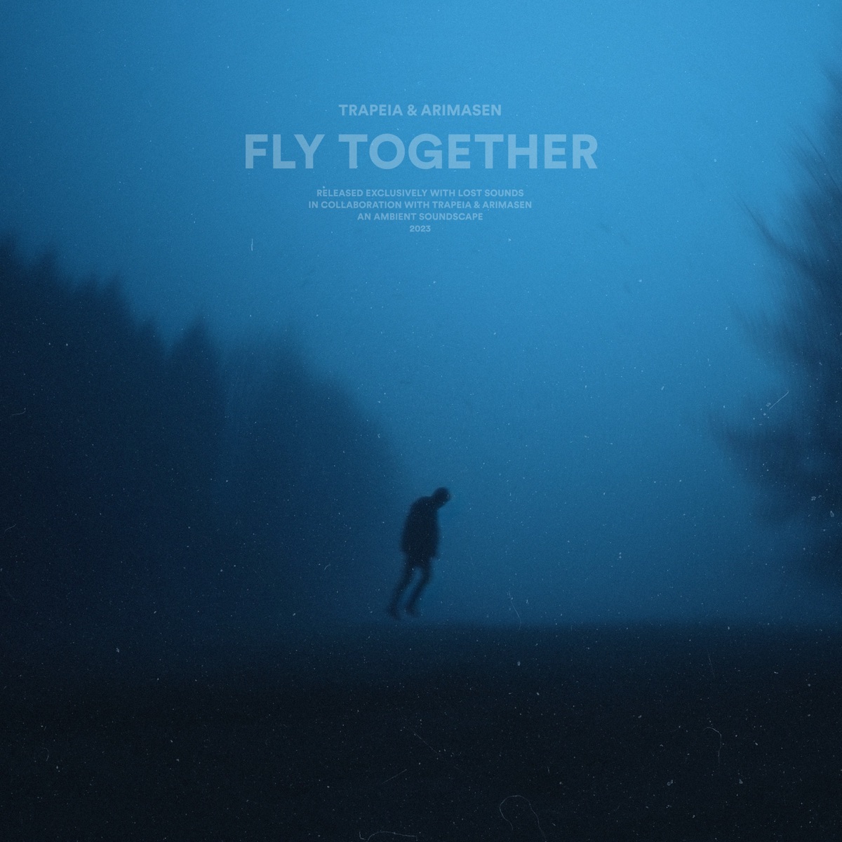 Fly Together - Single by trapeia & Arimasen album cover