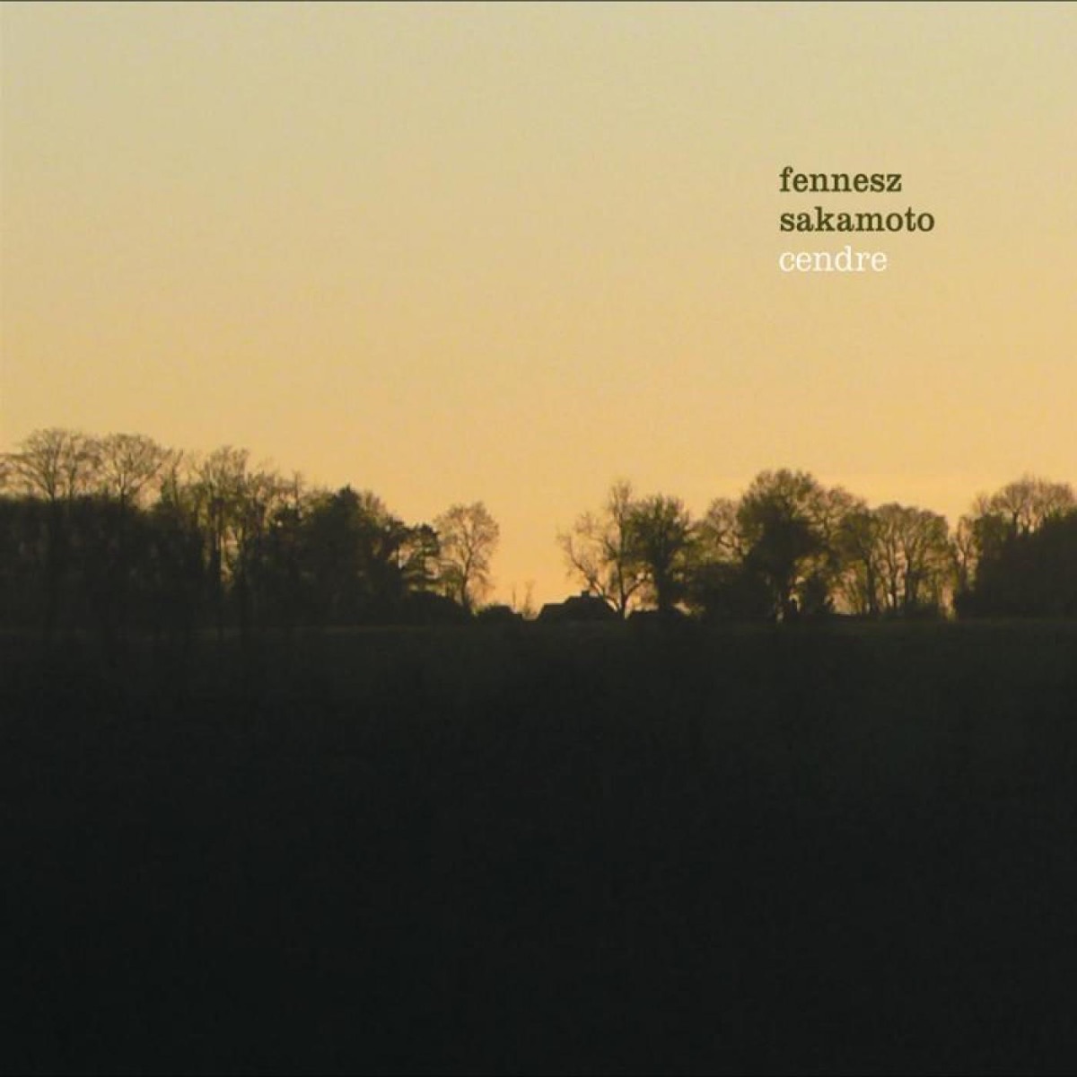 Cendre by Fennesz & Ryuichi Sakamoto album cover
