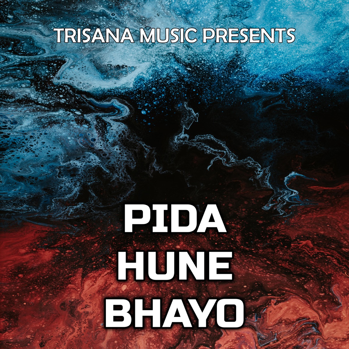 Pida Hune Bhayo - EP by Devi Gharti & Raju Dhakal album cover