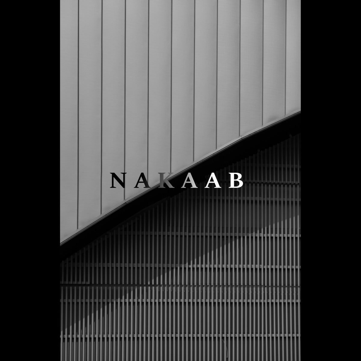 Nakaab - Single by NAVI album cover