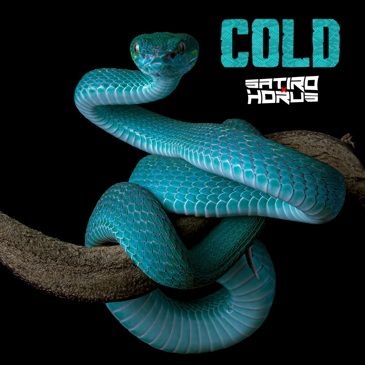 Cold - Single by Satiro X Horus album cover