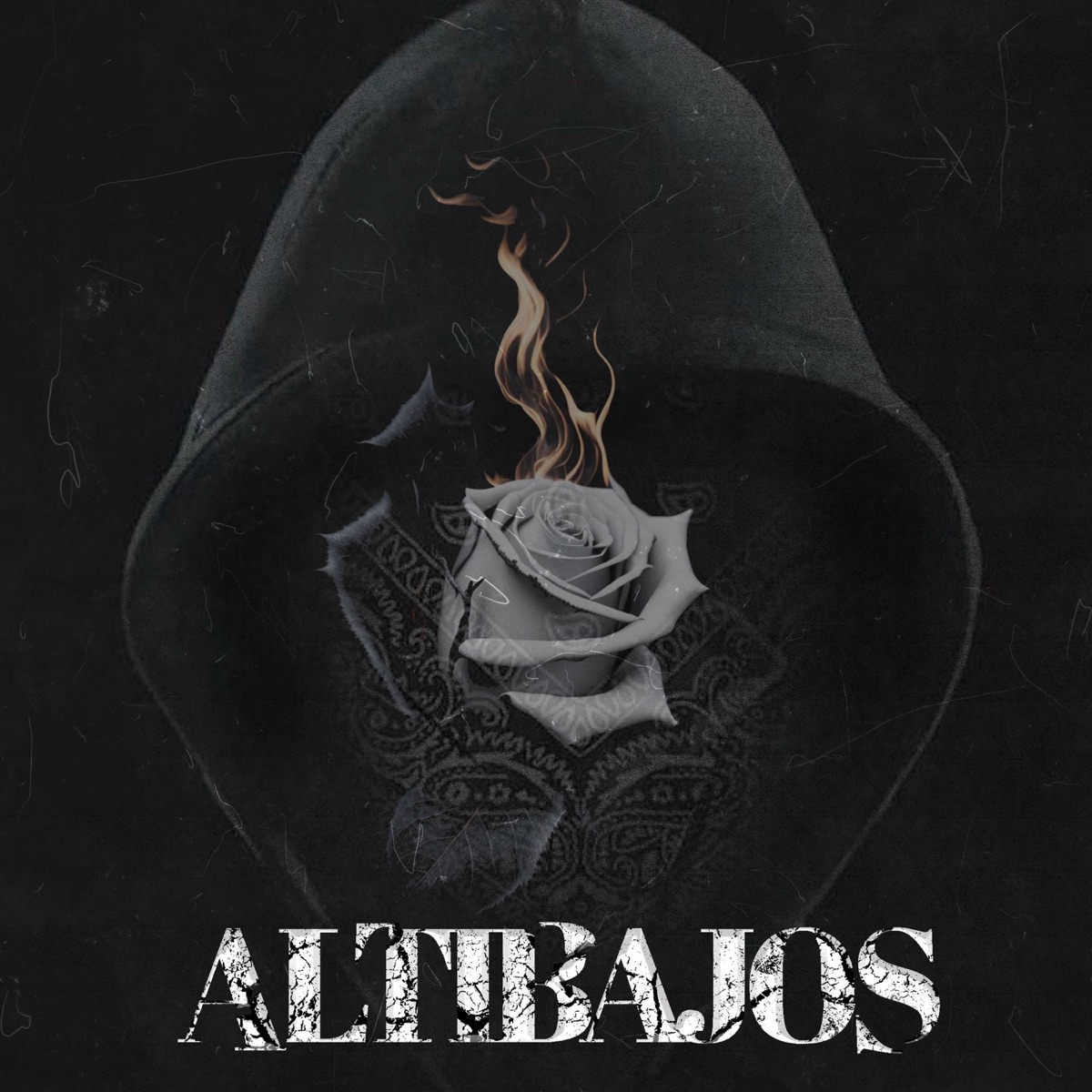 Altibajos - Single by xSkdeexx album cover
