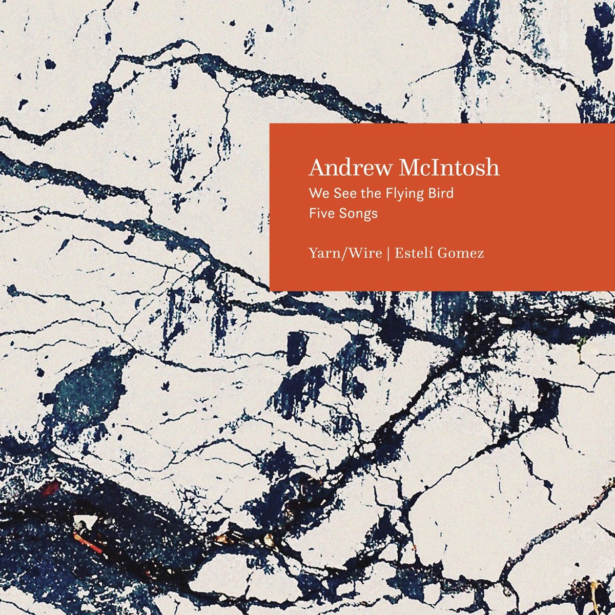 We See the Flying Bird / Five Songs - EP by Andrew McIntosh album cover