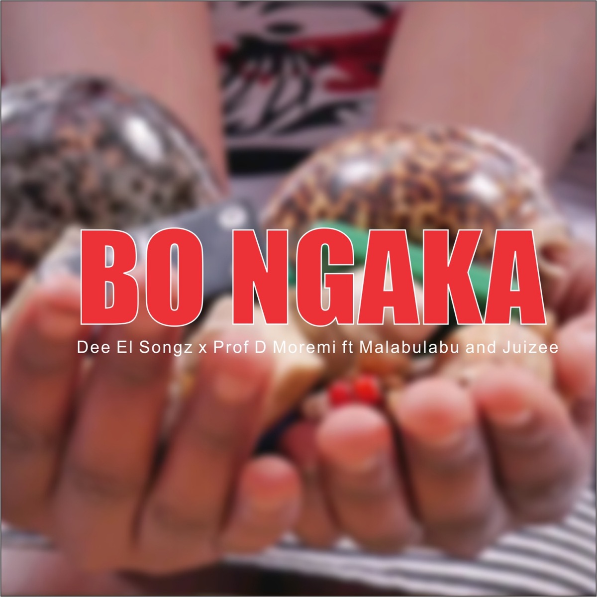 BO NGAKA (Radio Edit) [feat. Malabulabu & Juizee] - Single by Dee El Songz & Prod D Moremi album cover