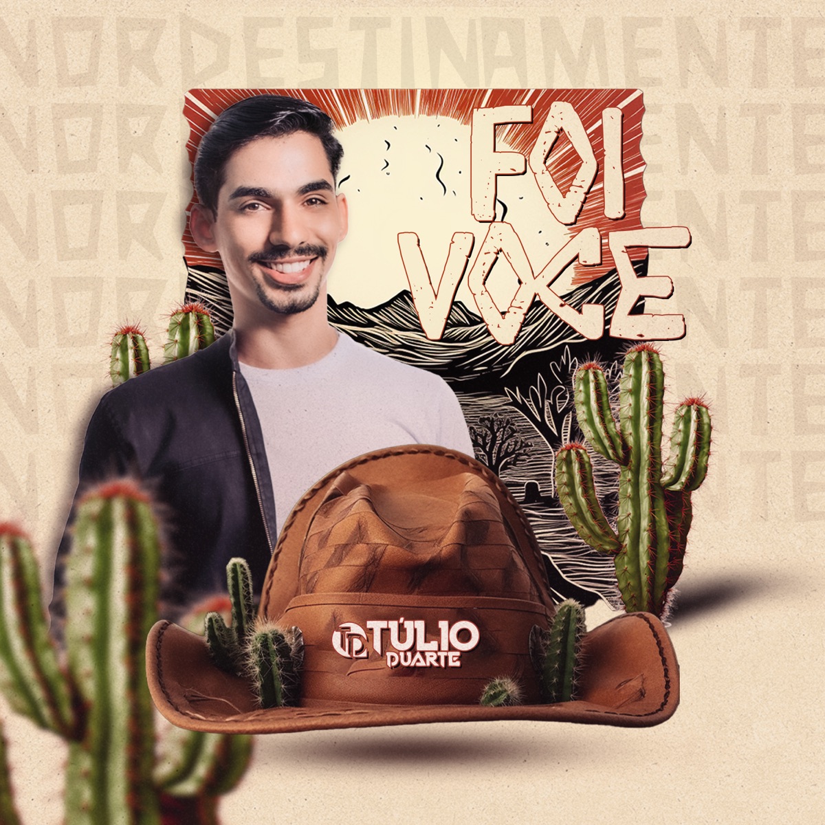 Foi Você - Single by Túlio Duarte album cover
