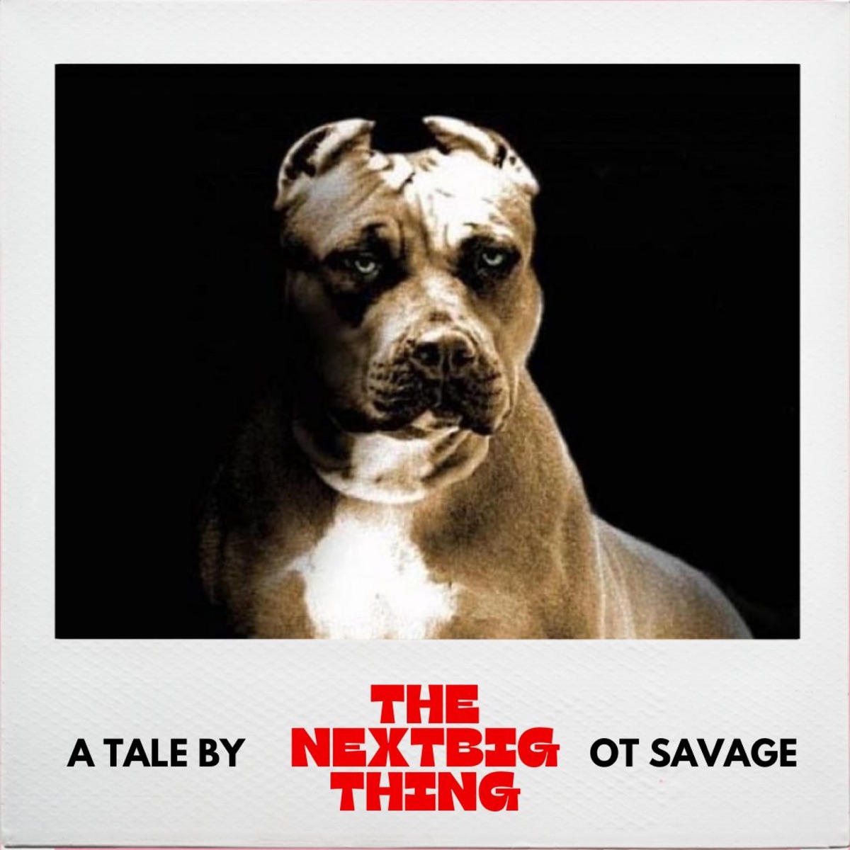 I'M the Next Big Thing - EP by OT Savage album cover