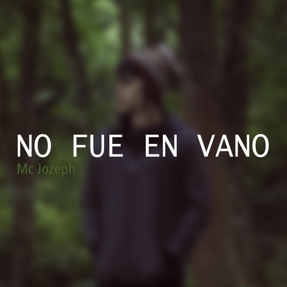 No Fue en Vano - Single by MC Jozeph album cover