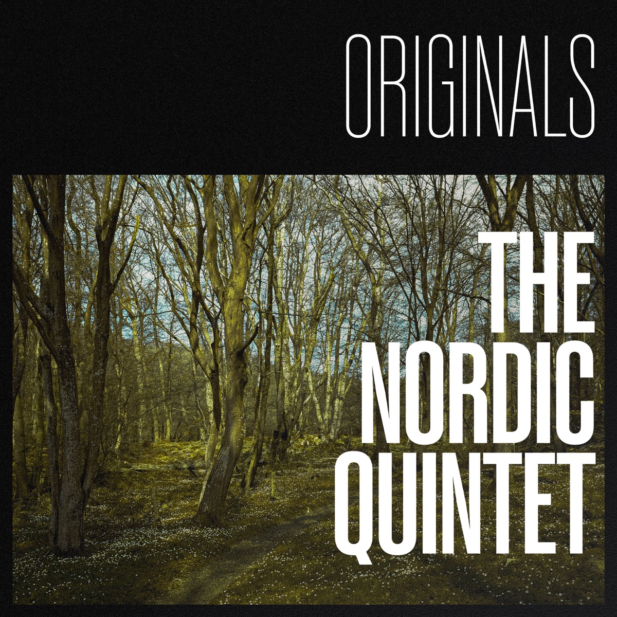 Originals by The Nordic Quintet by Ari Bragi Kárason, Carl Winther & Karl-Martin Almqvist album cover