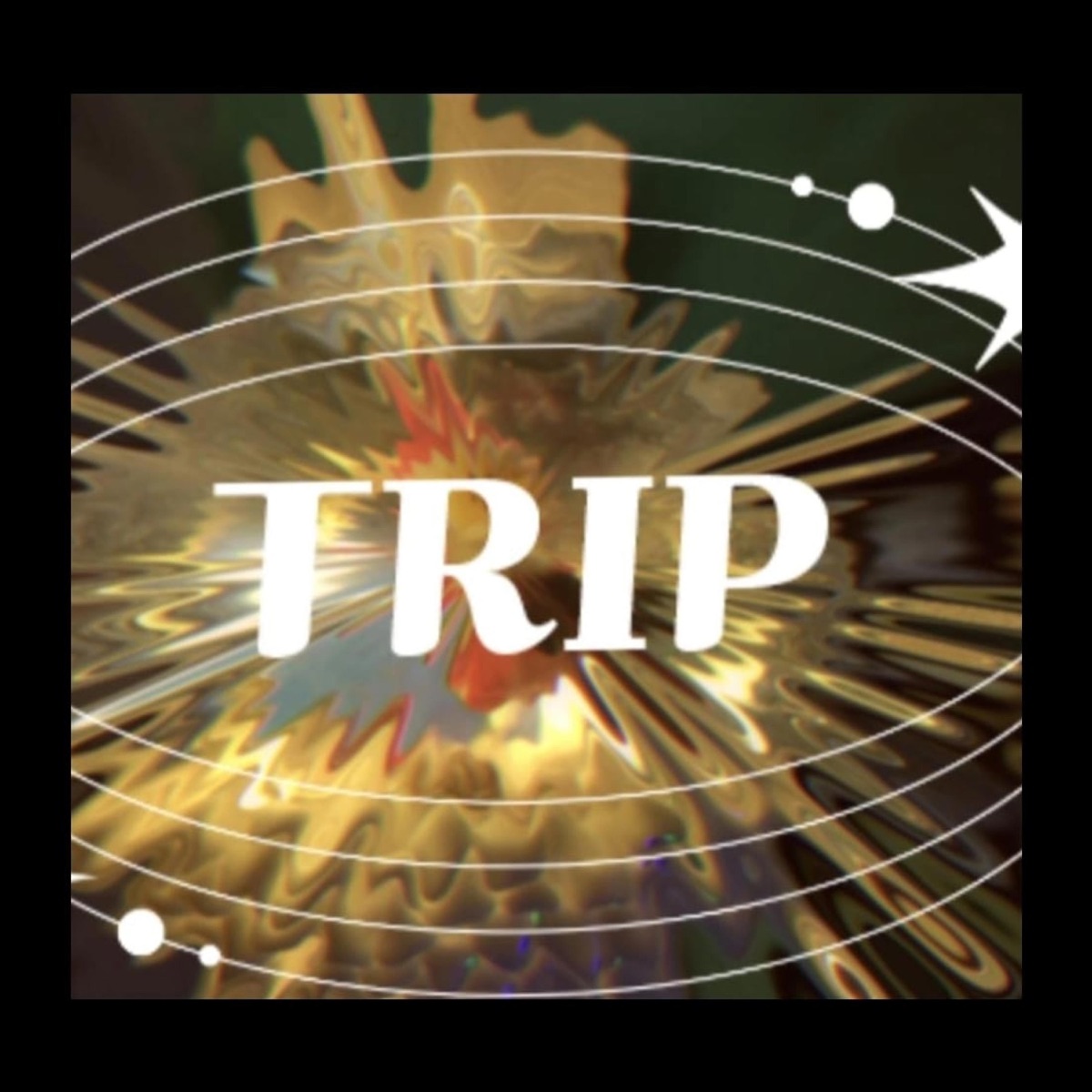 TRIP ABI INFELI$3$ - Single by Sweet Side Crows album cover
