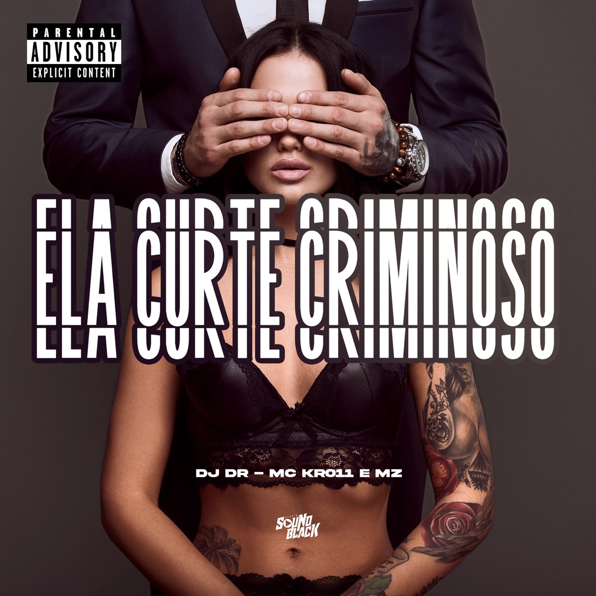 Ela Curte Criminoso - Single by Mc Kr 011, DJ DR & MZ album cover