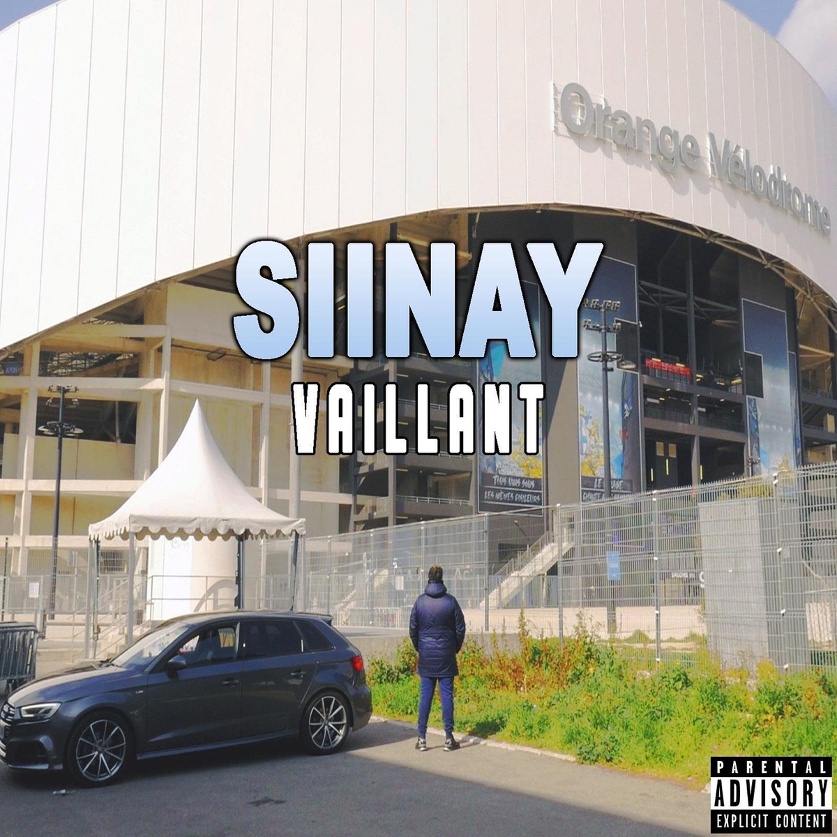 Vaillant - Single by Siinay album cover