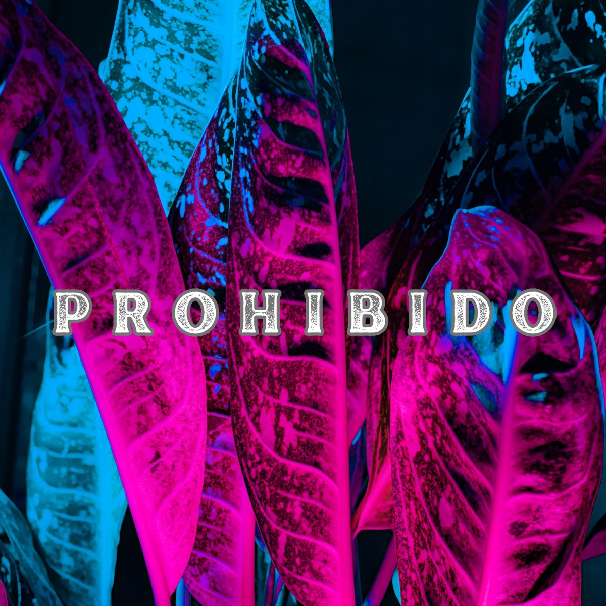 Prohibido - Single by NAOH & W-KALU album cover