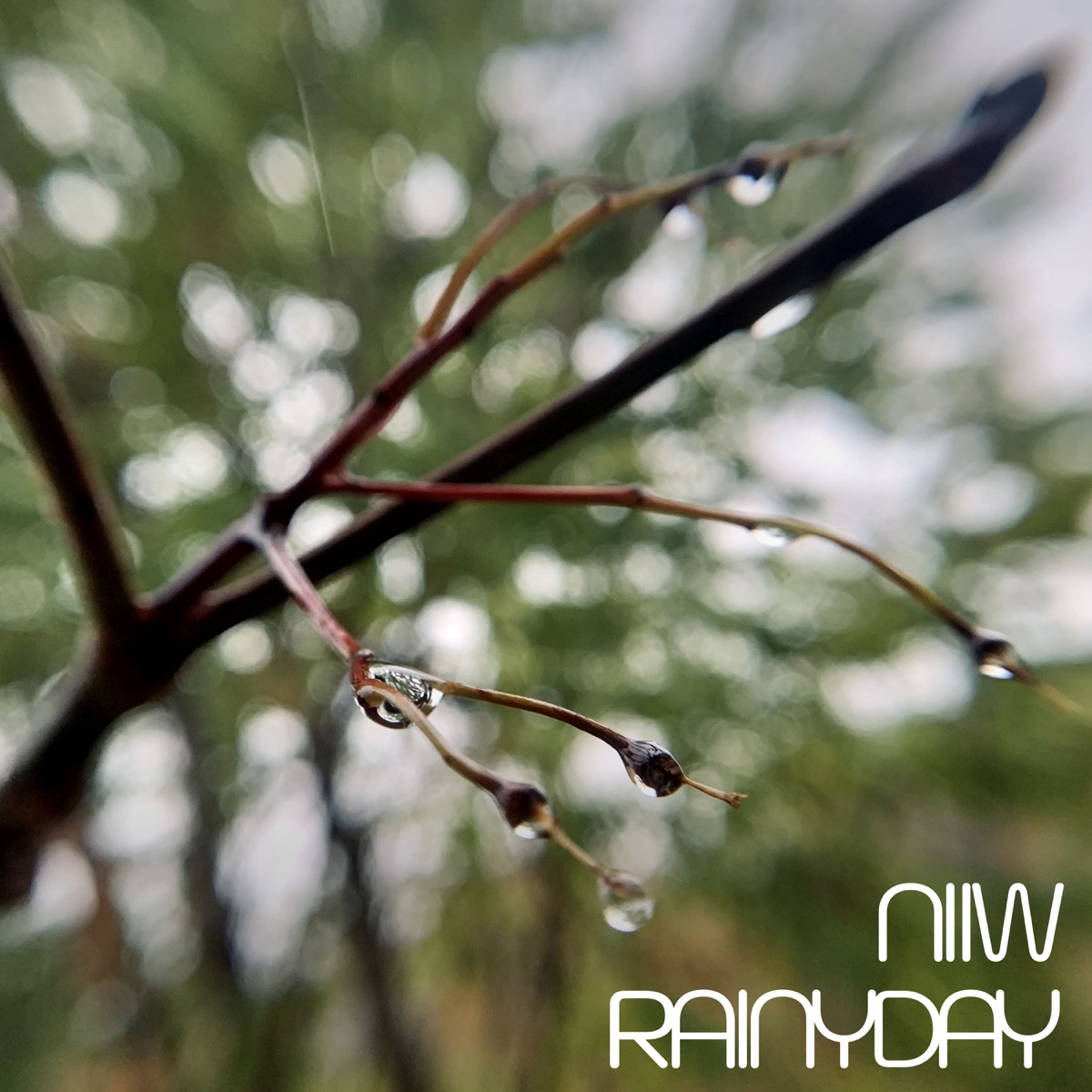 RAINY DAY - Single by NIIW album cover