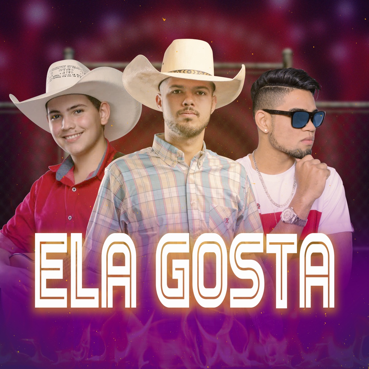 Ela Gosta (feat. Well Machado & Arthur Guiliane) - Single by DJ Ricardo Traia album cover