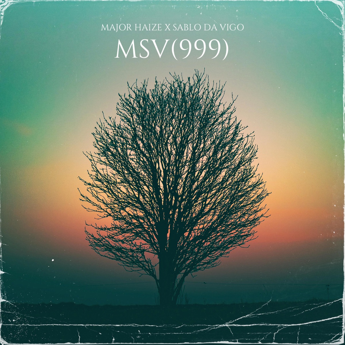MSV (feat. Sablo da vigo) - Single by © Major Haize 2023 album cover