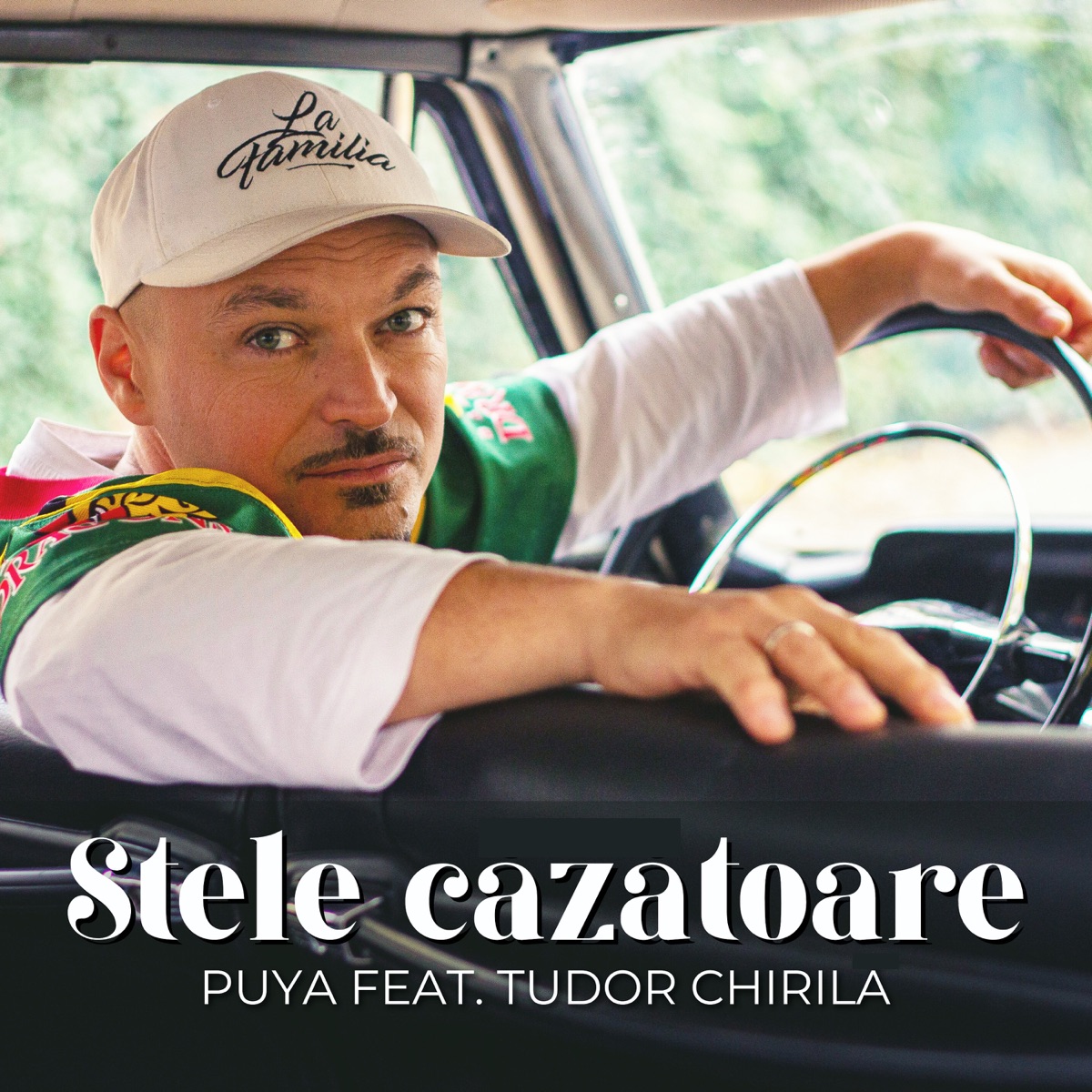 Stele Cazatoare (feat. Tudor Chirila) - Single by Puya album cover