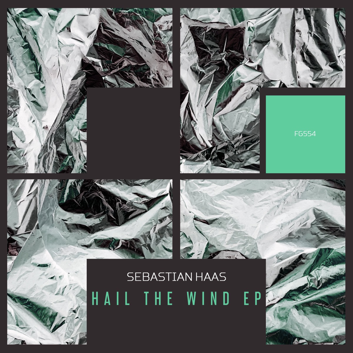 Hail the Wind - Single by Sebastian Haas album cover