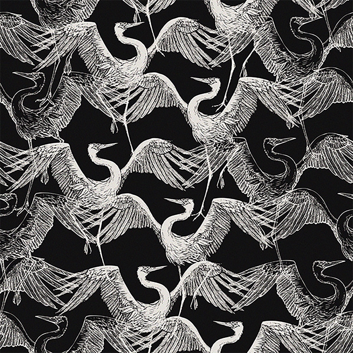 Ankara by Birds of Mind album cover