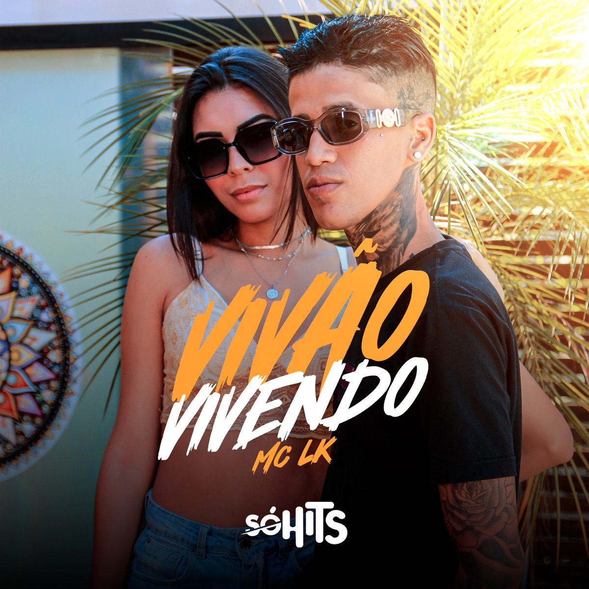 Vivão Vivendo - Single by Mc Lk & DJ BR4 album cover