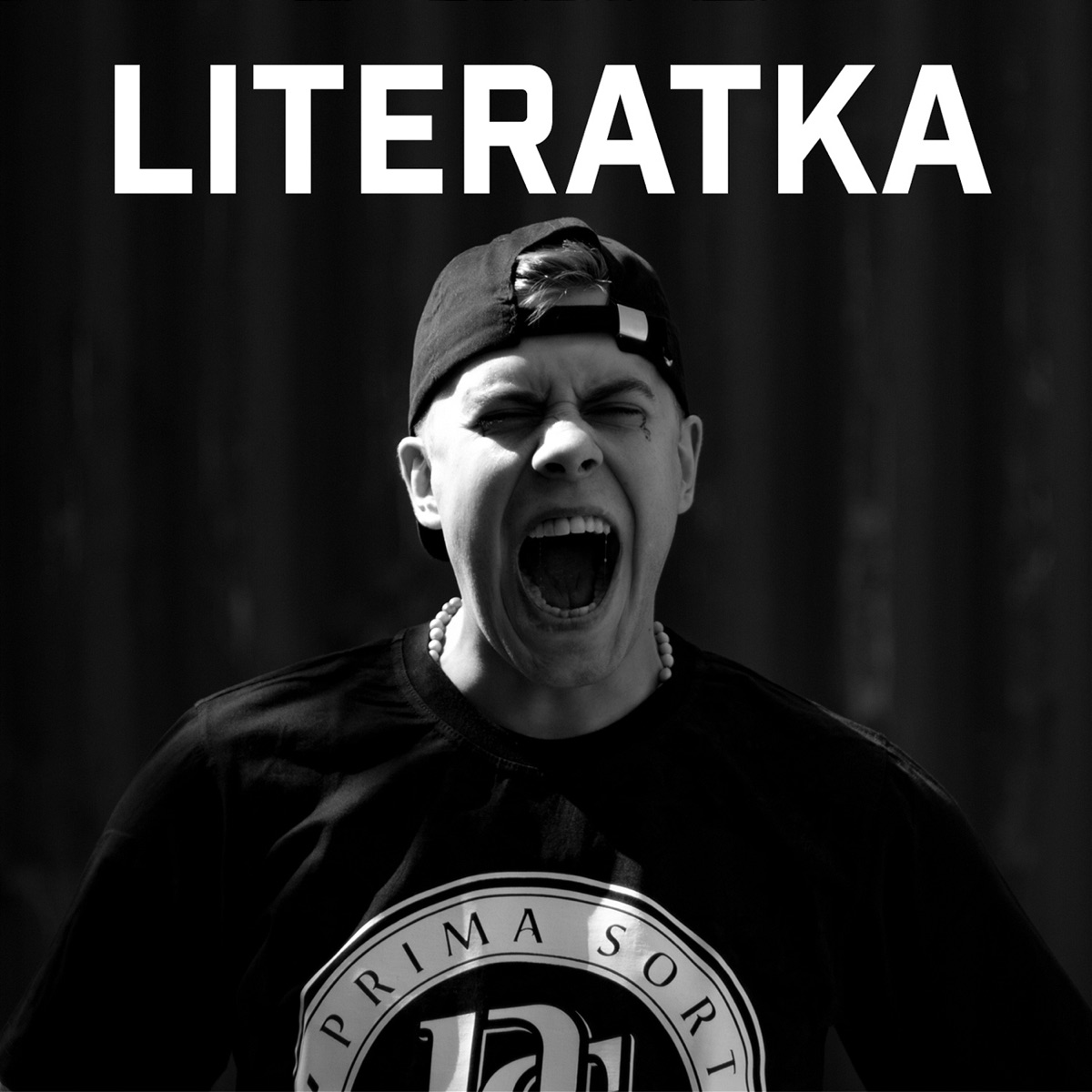 Literatka - Single by Kaczor BRS, Lacocamadre, Książę Kapota & Grzegorz Ziola album cover