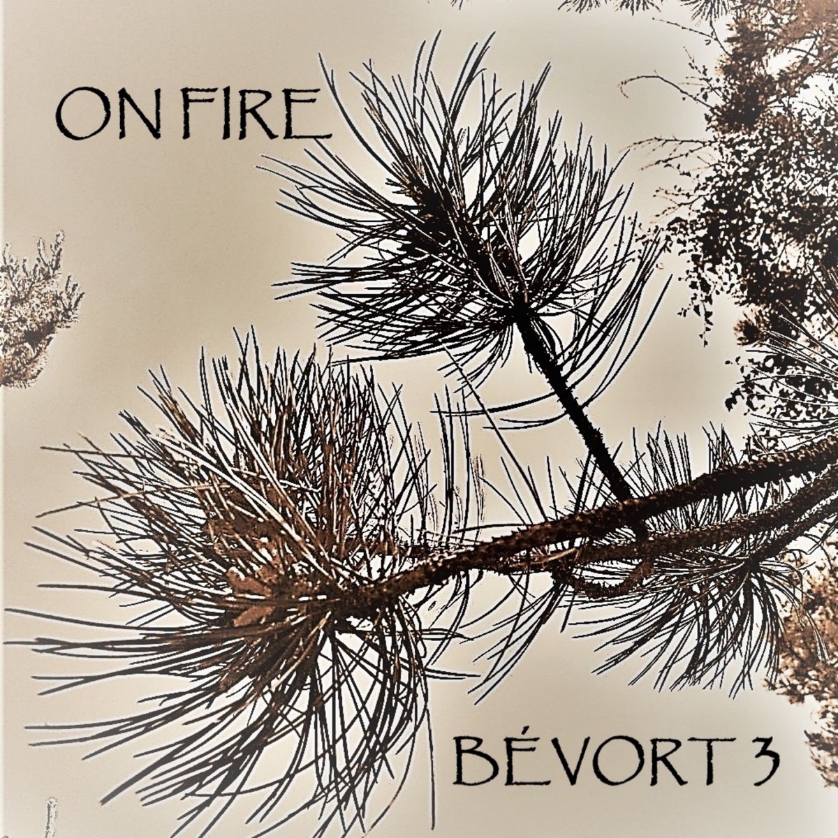 On Fire (feat. Morten Ankarfeldt) by Bévort 3 & Pernille Bévort album cover