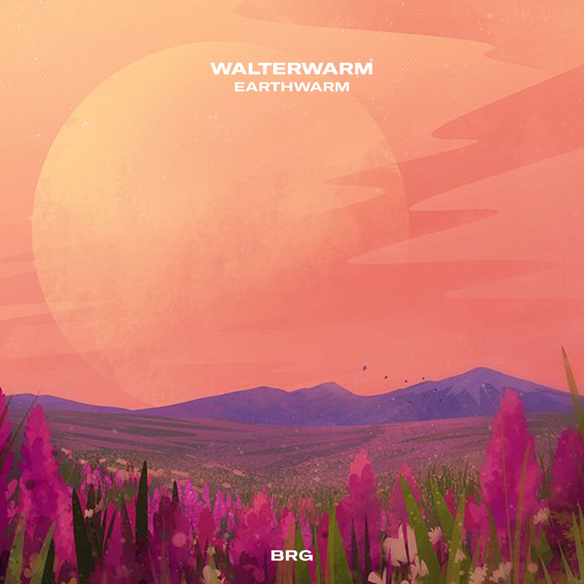 earthwarm - EP by WalterWarm & BRG Beats album cover