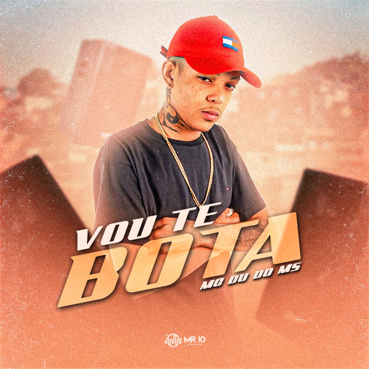 Vou Te Bota - Single by MC DU do MS album cover